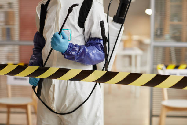 Professional Hoarding Cleanup technician working in Sanger, TX